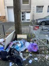 Bild zu gemeldetem Anliegen vom *2025-12-30 11:02:58