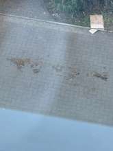 Bild zu gemeldetem Anliegen vom *2025-12-25 18:36:23