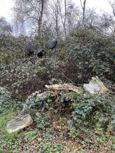 Bild zu gemeldetem Anliegen vom *2025-12-14 09:28:41