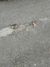 Bild zu gemeldetem Anliegen vom *2025-12-15 06:29:10