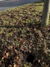 Bild zu gemeldetem Anliegen vom *2025-12-01 09:33:06