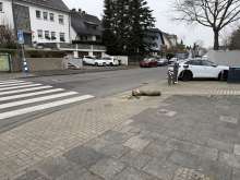 Bild zu gemeldetem Anliegen vom *2025-12-29 09:39:58