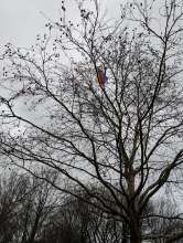 Bild zu gemeldetem Anliegen vom *2025-12-08 14:20:35