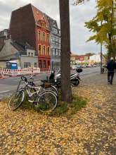 Bild zu gemeldetem Anliegen vom *2025-12-09 06:32:09