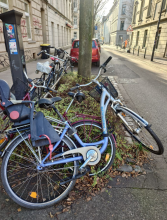 Bild zu gemeldetem Anliegen vom *2025-12-17 09:27:52