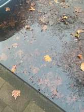 Bild zu gemeldetem Anliegen vom *2025-12-10 15:57:29