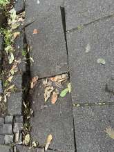 Bild zu gemeldetem Anliegen vom *2025-12-08 12:27:19