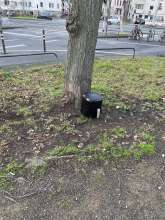 Bild zu gemeldetem Anliegen vom *2025-12-21 15:30:49