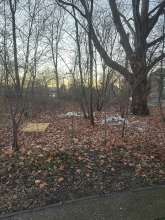 Bild zu gemeldetem Anliegen vom *2025-12-28 15:29:33