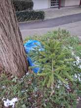 Bild zu gemeldetem Anliegen vom *2026-01-05 08:54:47