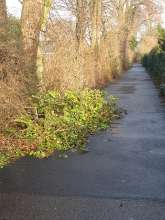 Bild zu gemeldetem Anliegen vom *2026-01-13 15:30:23