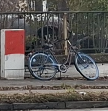 Bild zu gemeldetem Anliegen vom *2026-01-04 22:53:45