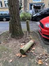 Bild zu gemeldetem Anliegen vom *2026-01-08 06:27:58