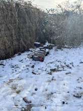 Bild zu gemeldetem Anliegen vom *2026-01-07 11:42:42