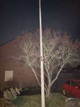 Bild zu gemeldetem Anliegen vom *2026-01-17 21:33:04