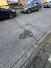 Bild zu gemeldetem Anliegen vom *2026-01-20 15:32:30