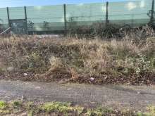 Bild zu gemeldetem Anliegen vom *2026-01-02 09:30:03