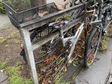 Bild zu gemeldetem Anliegen vom *2026-01-13 21:27:13