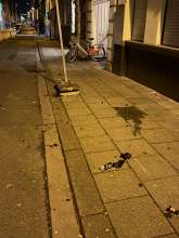 Bild zu gemeldetem Anliegen vom *2026-01-17 18:33:53