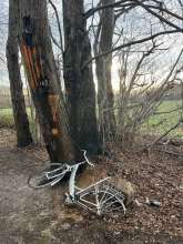 Bild zu gemeldetem Anliegen vom *2026-01-13 15:30:23