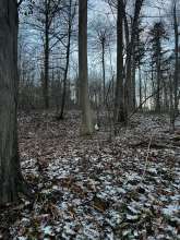 Bild zu gemeldetem Anliegen vom *2026-01-02 06:27:12