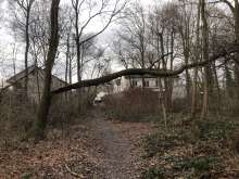 Baum über Weg gebrochen vom *2026-01-02 12:28:20