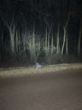 Bild zu gemeldetem Anliegen vom *2026-01-05 06:29:28