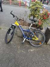 Bild zu gemeldetem Anliegen vom *2026-01-05 09:33:27