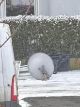 Bild zu gemeldetem Anliegen vom *2026-01-06 12:36:14