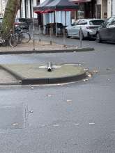 Bild zu gemeldetem Anliegen vom *2026-01-09 09:34:58