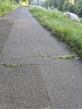Bild zu gemeldetem Anliegen vom *2026-05-27 07:12:02