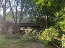 Großer Ast versperrt Zugang zu Parkplatz an der Severinsbrücke