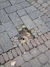 Bild zu gemeldetem Anliegen vom *2026-09-17 15:27:13