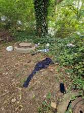 Bild zu gemeldetem Anliegen vom *2026-09-17 17:48:24