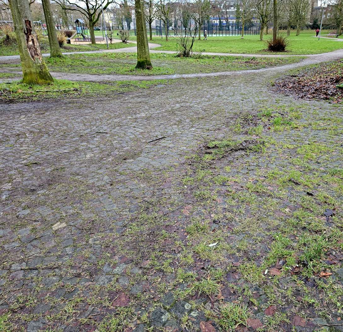 Bild zu gemeldetem Anliegen vom *2023-12-13 11:22:52