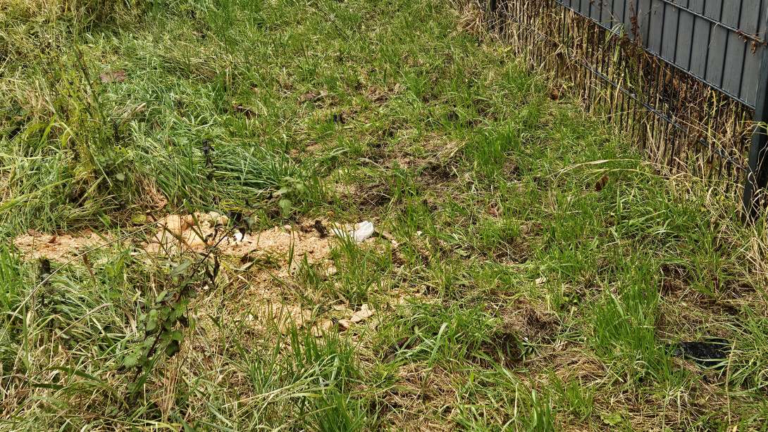 Bild zu gemeldetem Anliegen vom *2023-12-13 10:56:20