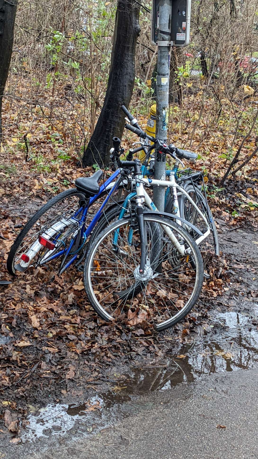 Bild zu gemeldetem Anliegen vom *2023-12-22 11:45:33