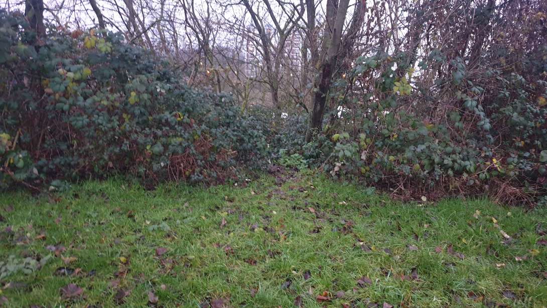 Bild zu gemeldetem Anliegen vom *2023-12-15 08:25:52