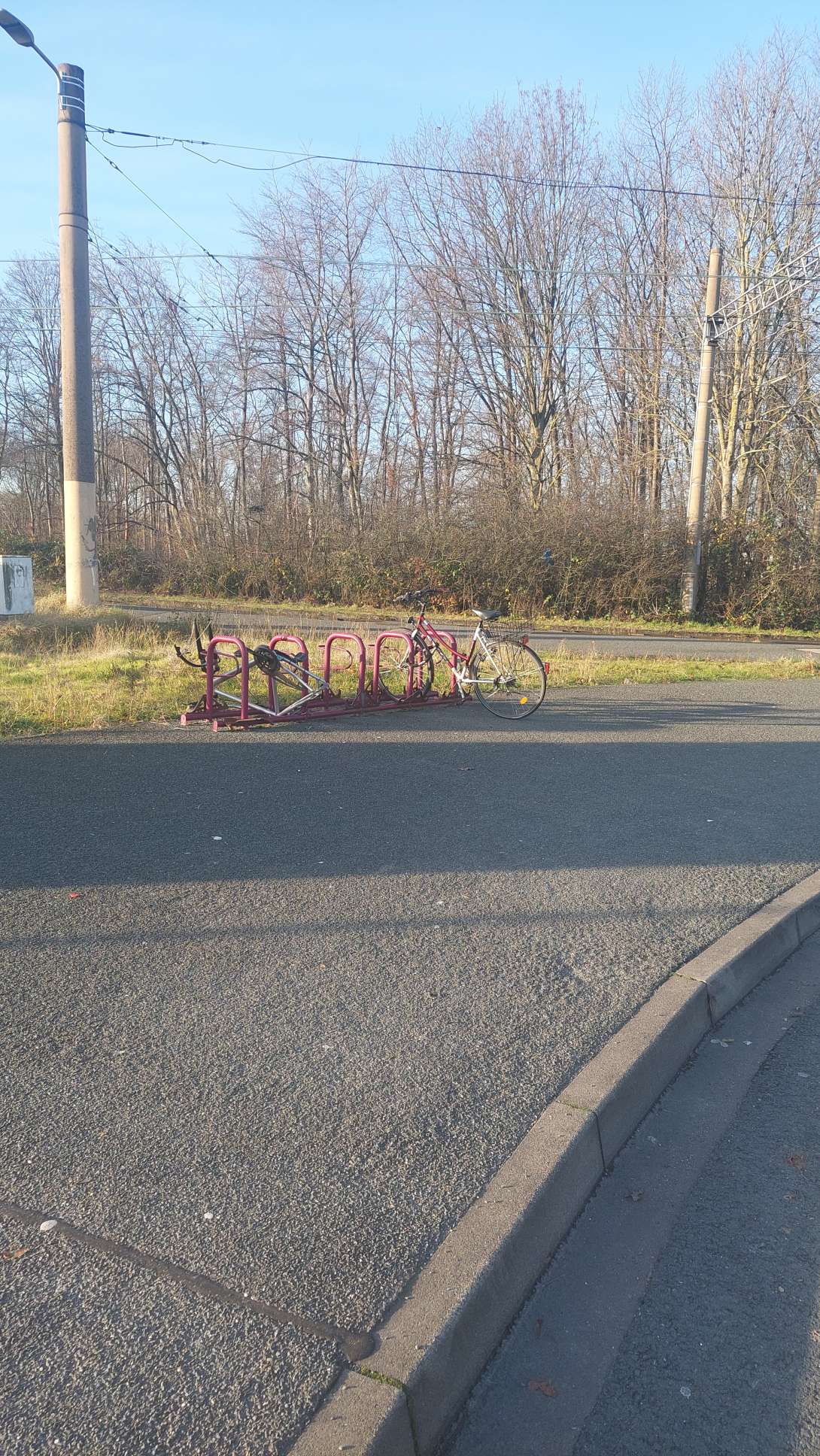 Bild zu gemeldetem Anliegen vom *2023-12-18 09:03:03