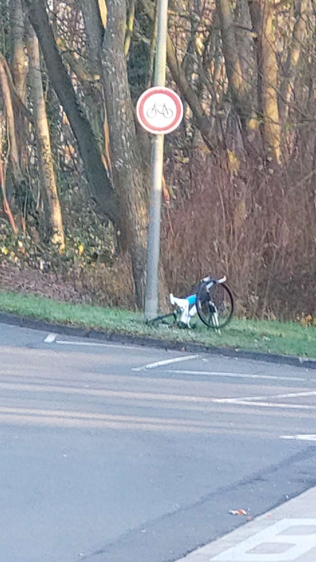 Bild zu gemeldetem Anliegen vom *2023-12-18 13:53:28