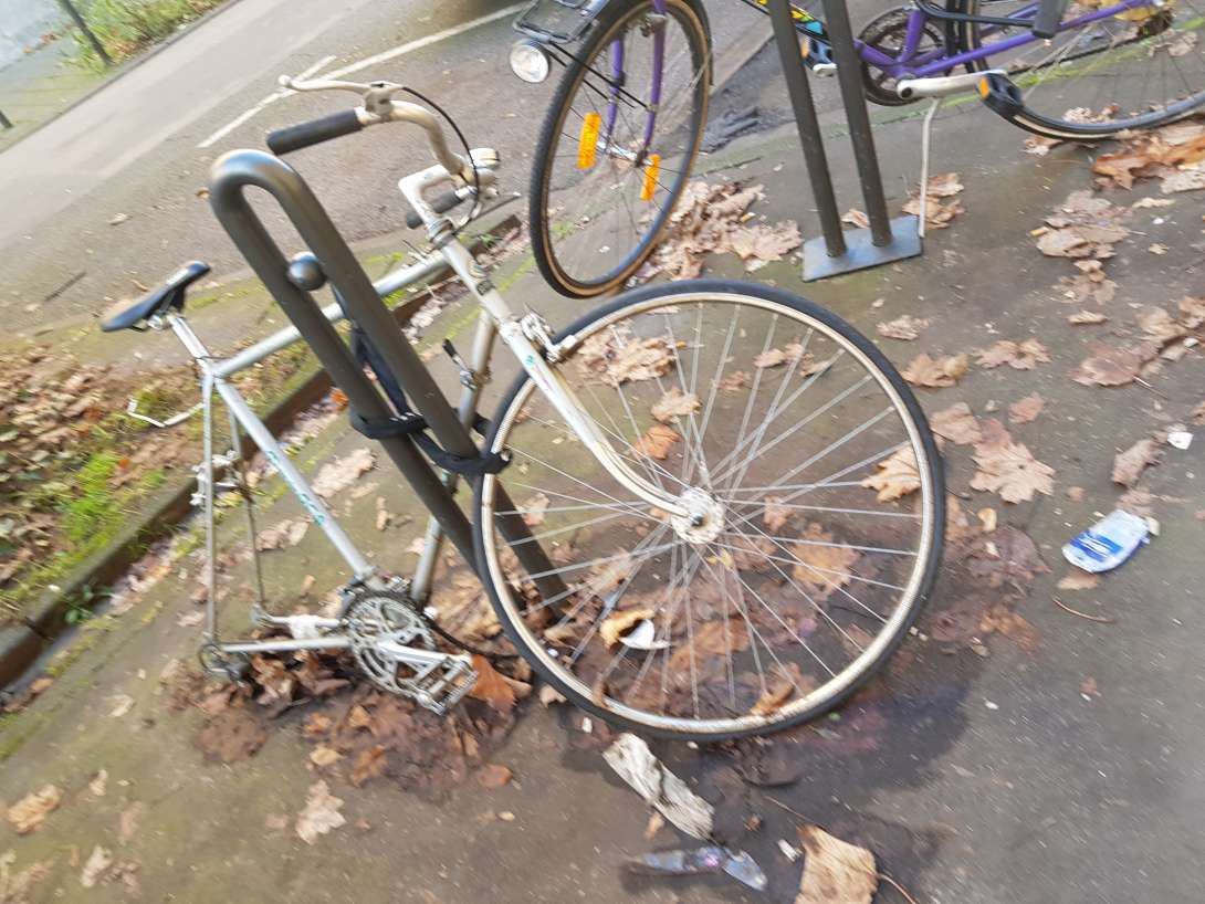 Bild zu gemeldetem Anliegen vom *2024-05-28 14:22:50