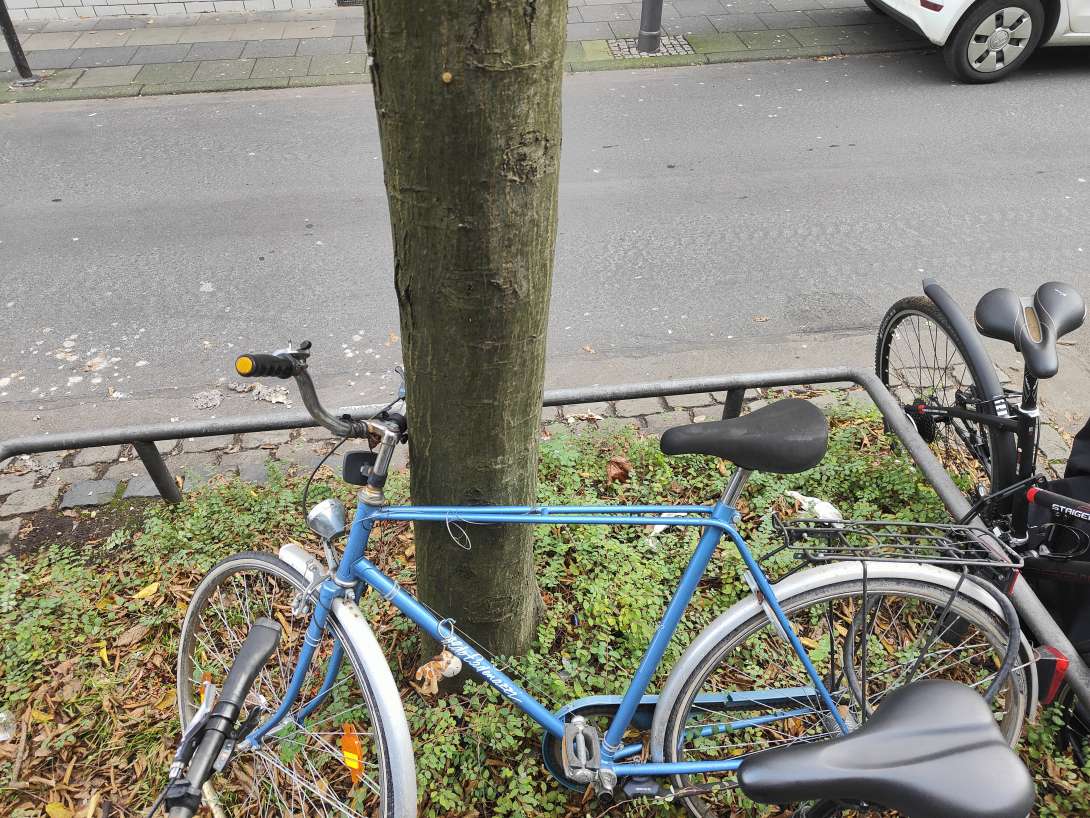 Bild zu gemeldetem Anliegen vom *2024-05-08 09:31:43