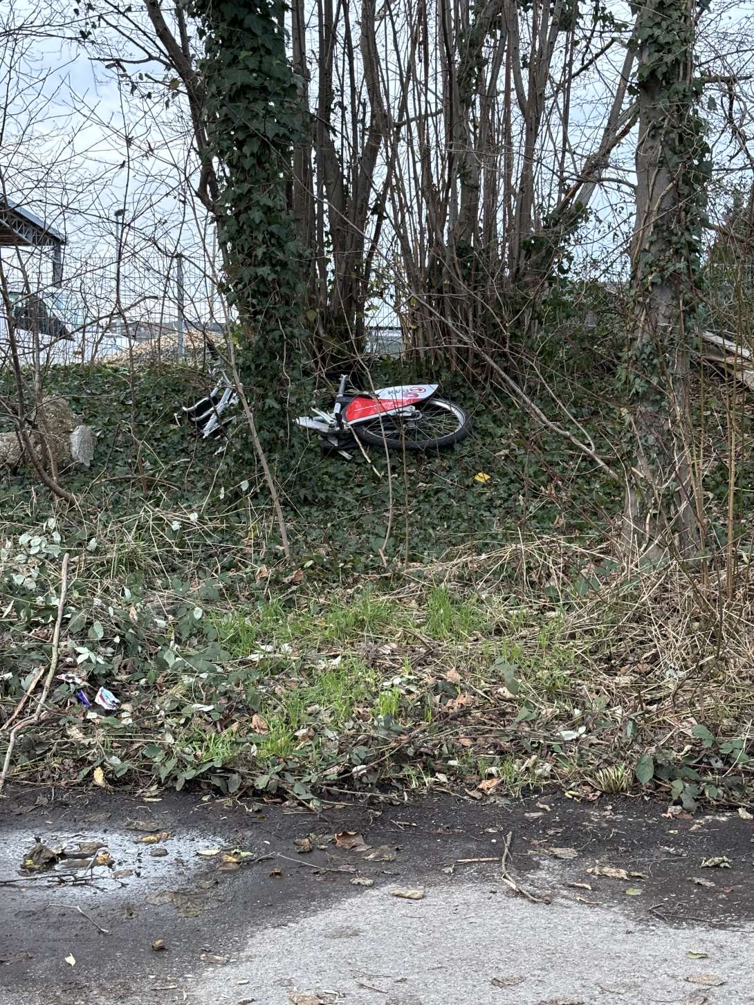 Bild zu gemeldetem Anliegen vom *2024-01-02 08:58:18