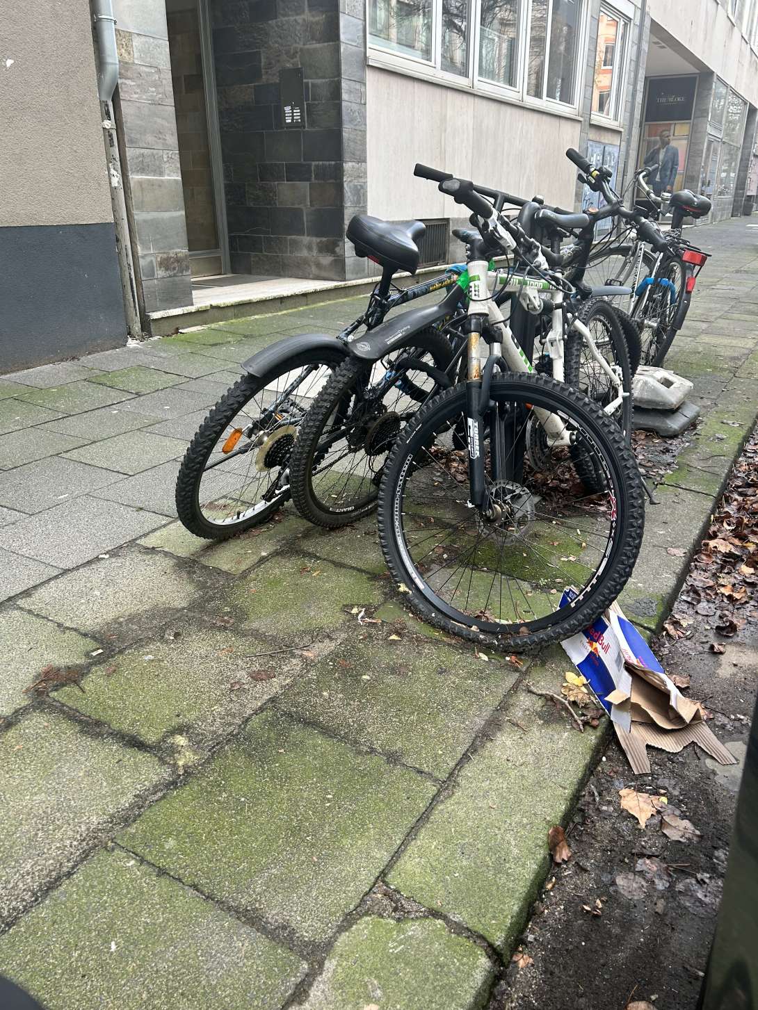 Bild zu gemeldetem Anliegen vom *2024-01-03 10:17:07