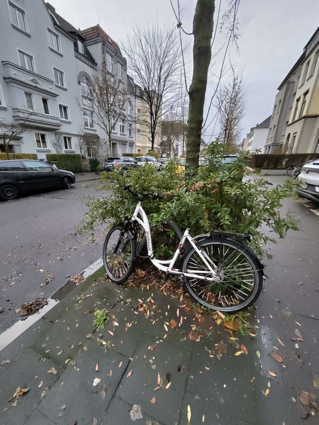 Bild zu gemeldetem Anliegen vom *2023-12-22 10:17:35