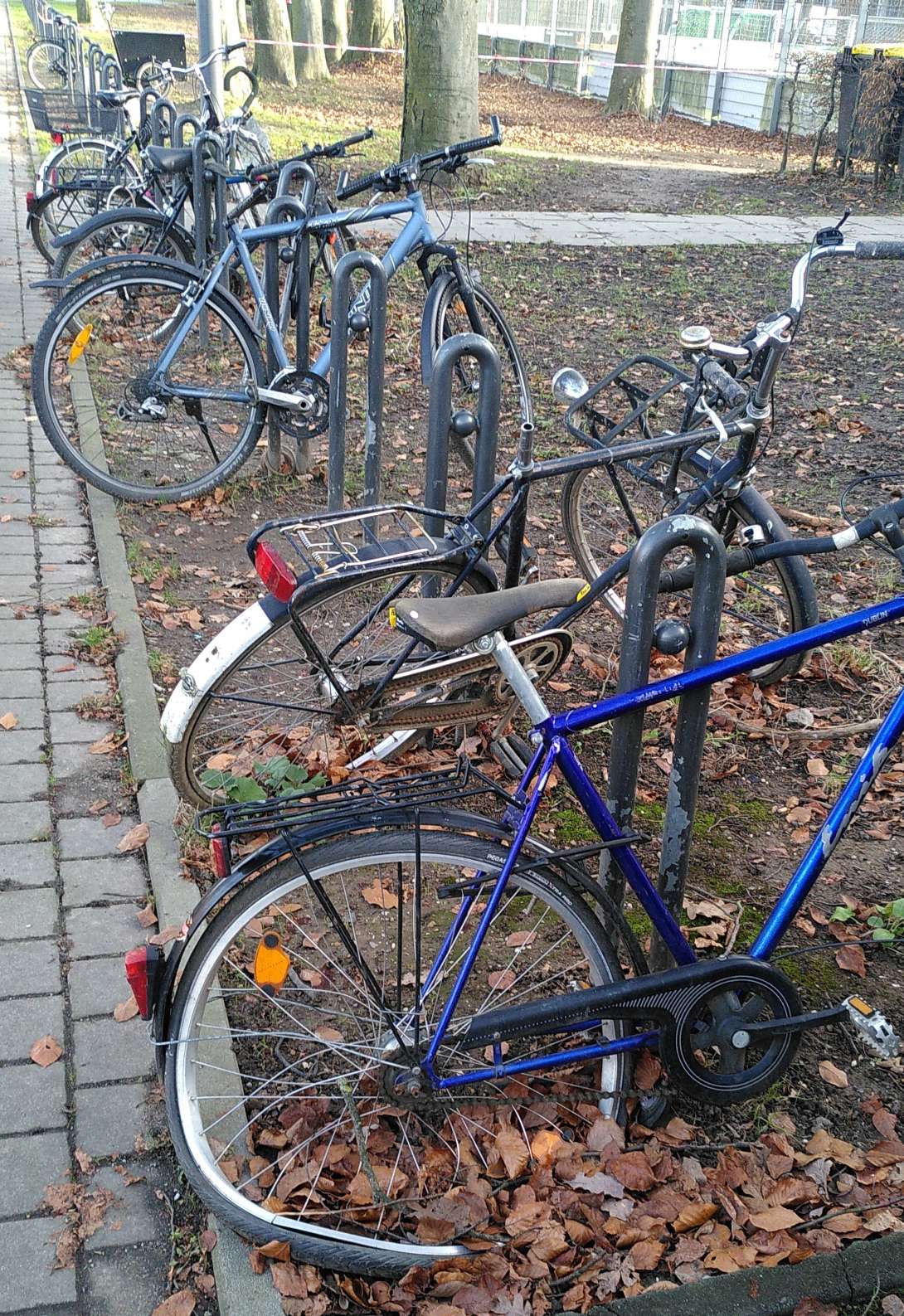 Bild zu gemeldetem Anliegen vom *2024-01-02 13:28:38