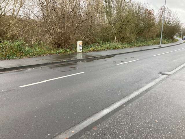 Bild zu gemeldetem Anliegen vom *2024-01-17 11:24:33