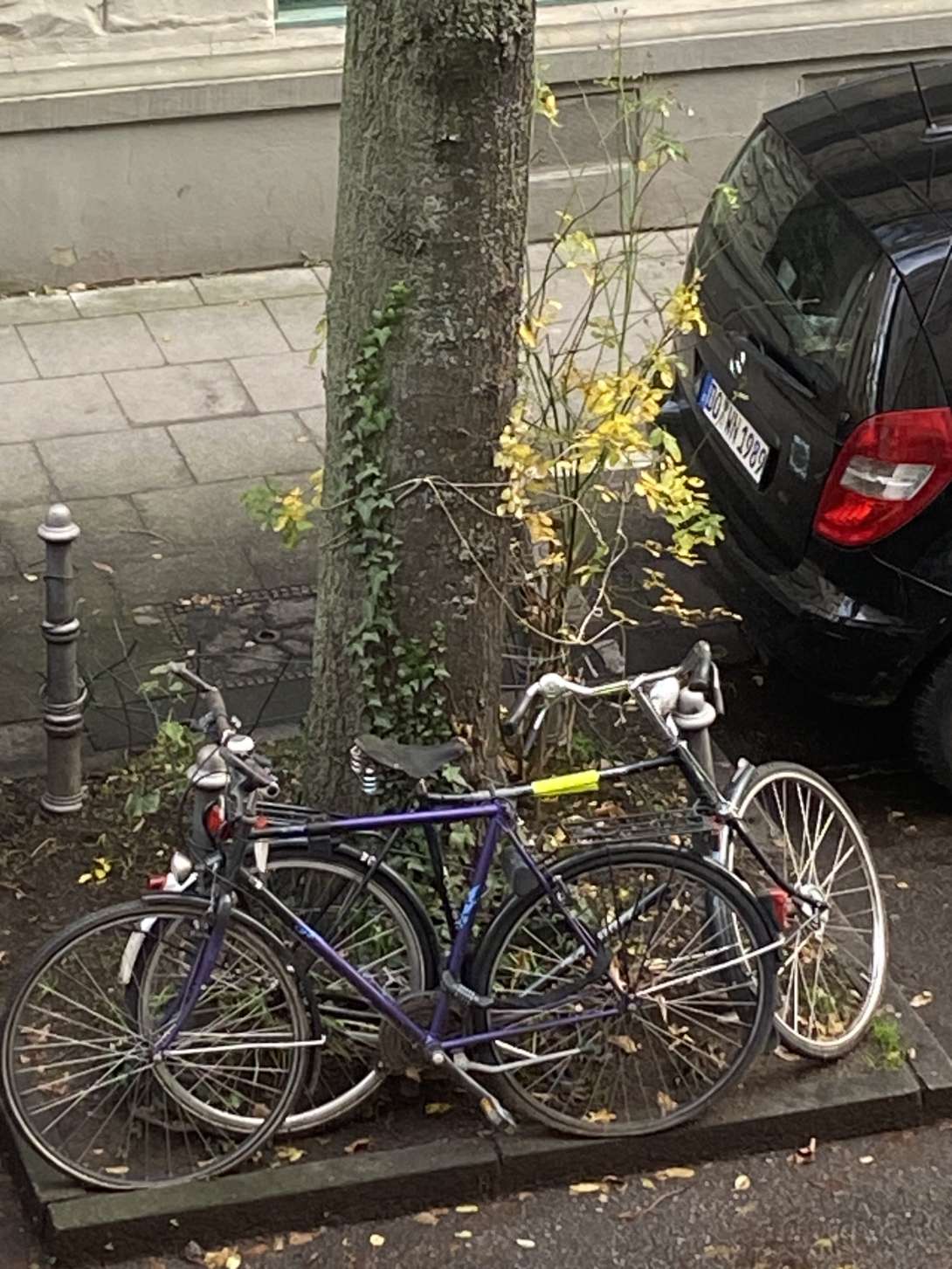 Bild zu gemeldetem Anliegen vom *2023-12-14 08:42:36