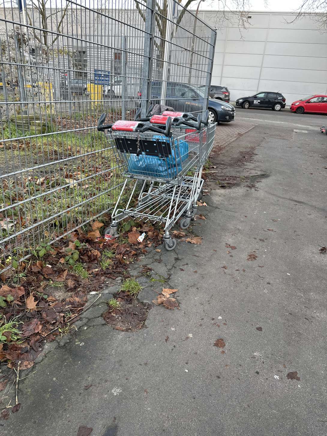 Bild zu gemeldetem Anliegen vom *2024-05-08 09:31:43