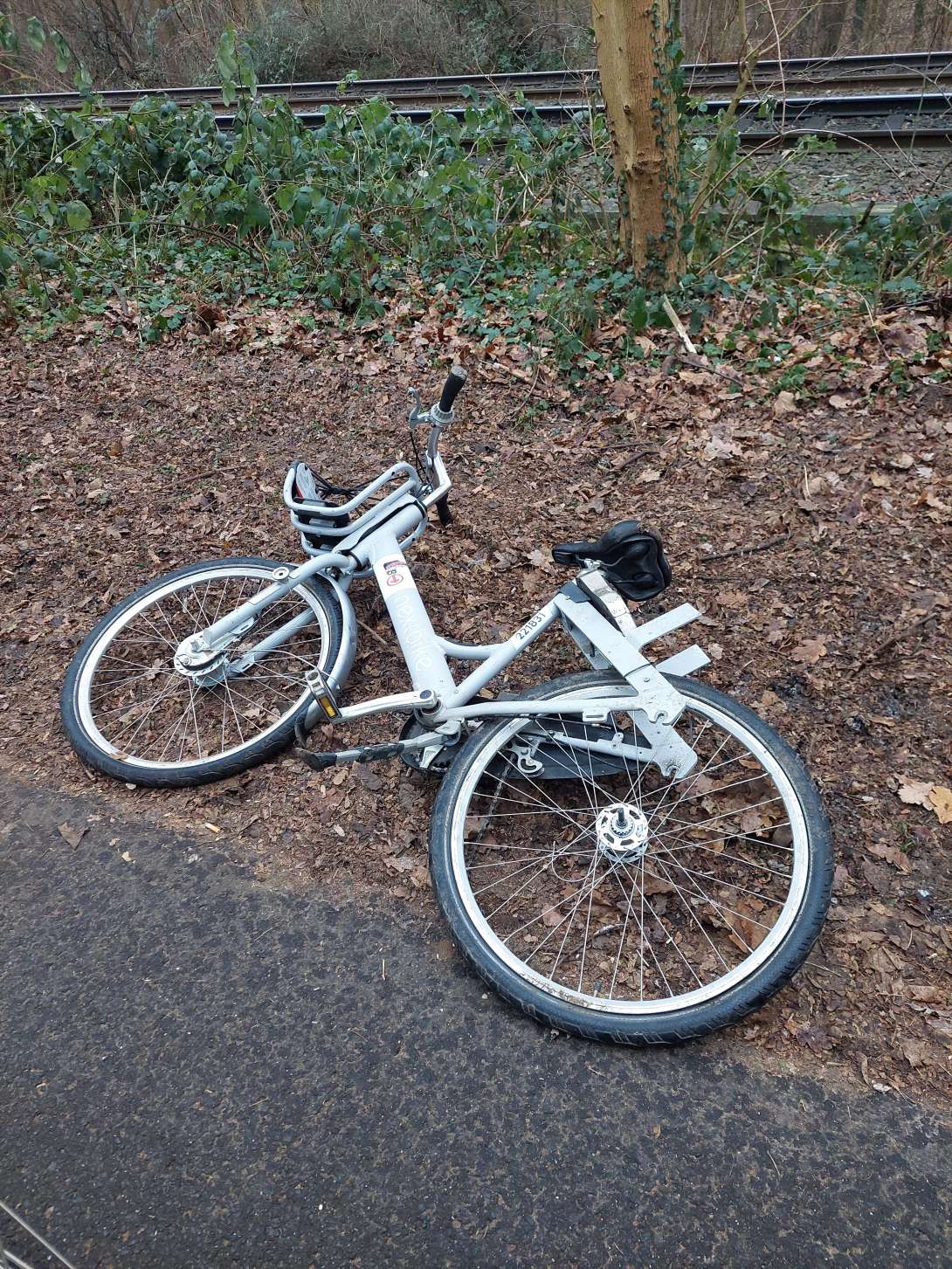 Bild zu gemeldetem Anliegen vom *2024-01-16 08:32:48